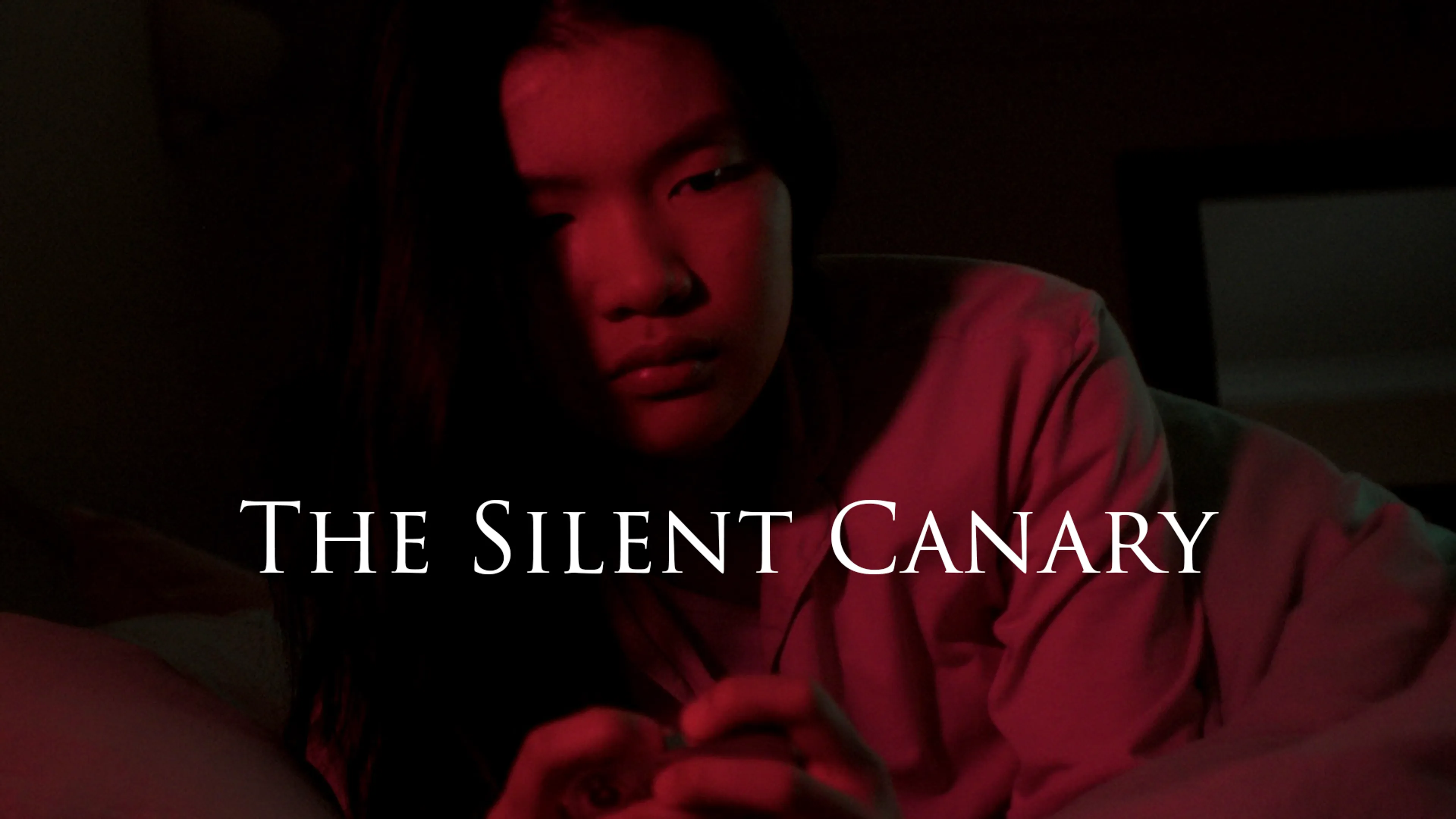 The Silent Canary poster